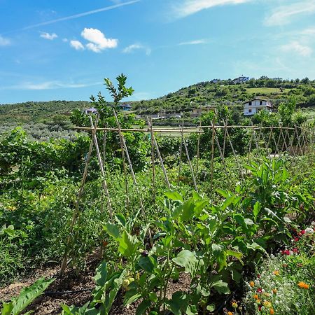 Villa Xherimeja Family Oasis Berat Eksteriør billede