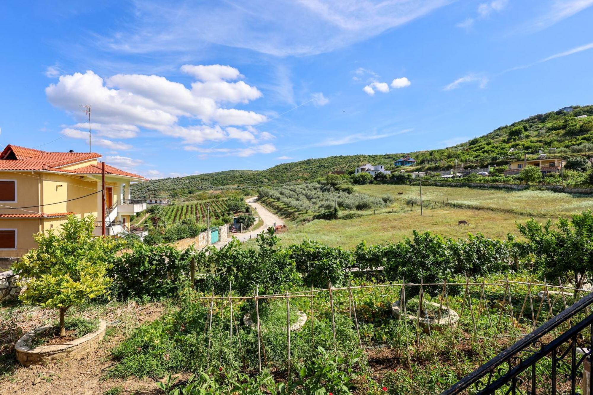 Villa Xherimeja Family Oasis Berat Eksteriør billede